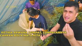 PANEN IKAN ARWANA |  USIA 40 TAHUN