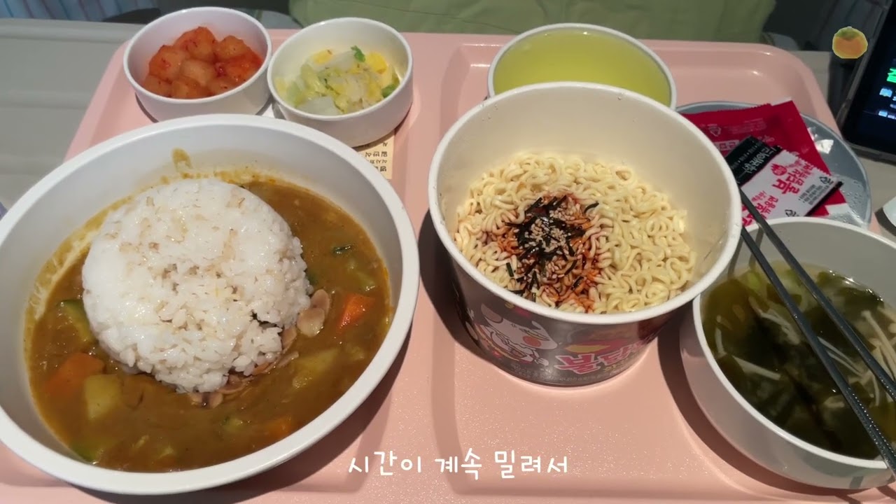 [단감 vlog] 병원 일기 ㅣ 불닭에 빠진 환자 ㅣ 병원 밥