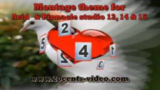 Montage Theme ENC041.wmv