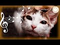 EXTRA-SOOTHING Music for Anxious Cats [6 YEARS of research &amp; development]
