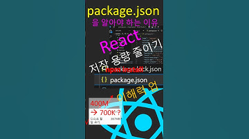 Package.json 이거 뭐임? | React에서 Node 모듈을 삭제하면? [4] #shorts