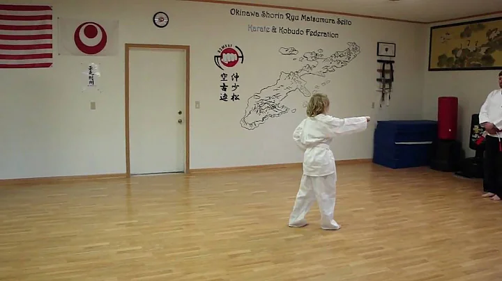 Cullen first stripe Karate.MP4