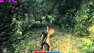 Lenovo W520 Quadro 1000m Risen gameplay