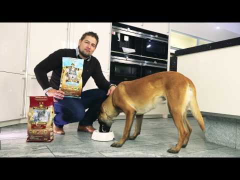 Video: Premium Hundefutter