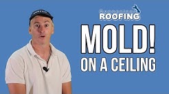 ROOF LEAKING AND MOLD - Queensland Roofing 