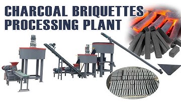 From Raw Material to Flaming Success: Watch Charcoal Briquette Production Line to Make Coal!