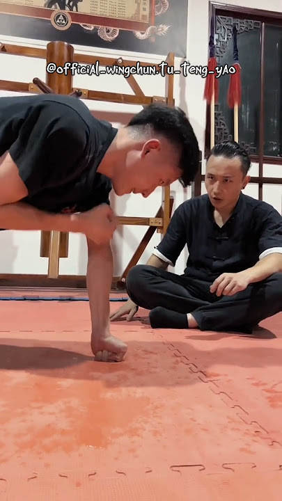 Experience the Power of Wing Chun with Master Tu Tengyao - English subs