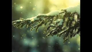 OST Tree of Heaven - Gido (Prayer) - HJ