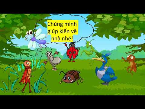 Tuần 16 - Toán - Bài: Ôn tập phép cộng và phép trừ (tiết 3)