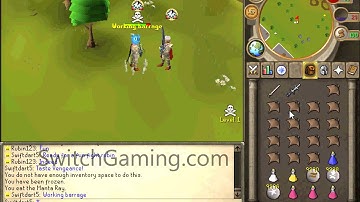 SwitchScape Beta (317) pvp server, Spawn