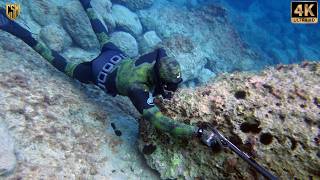CHASSE SOUS MARINE Thon Geant a 4 MÈTRES De Moi Peche sous marine méditerranée 2026