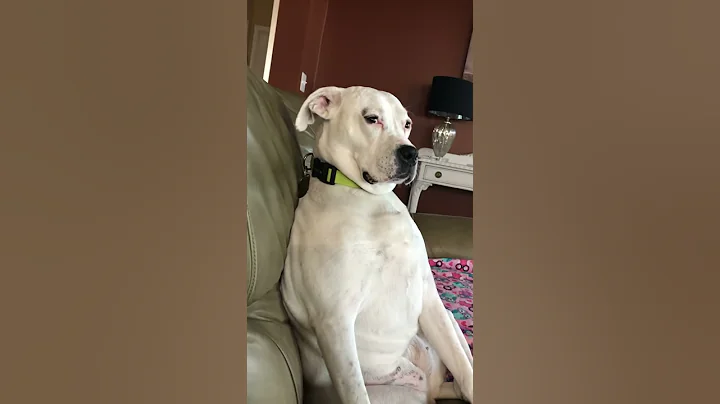 Stop it!