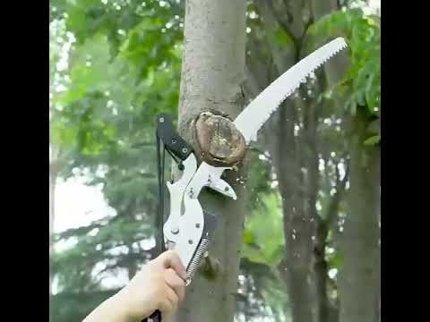 What if you can't reach high when you trim the branches in your home?