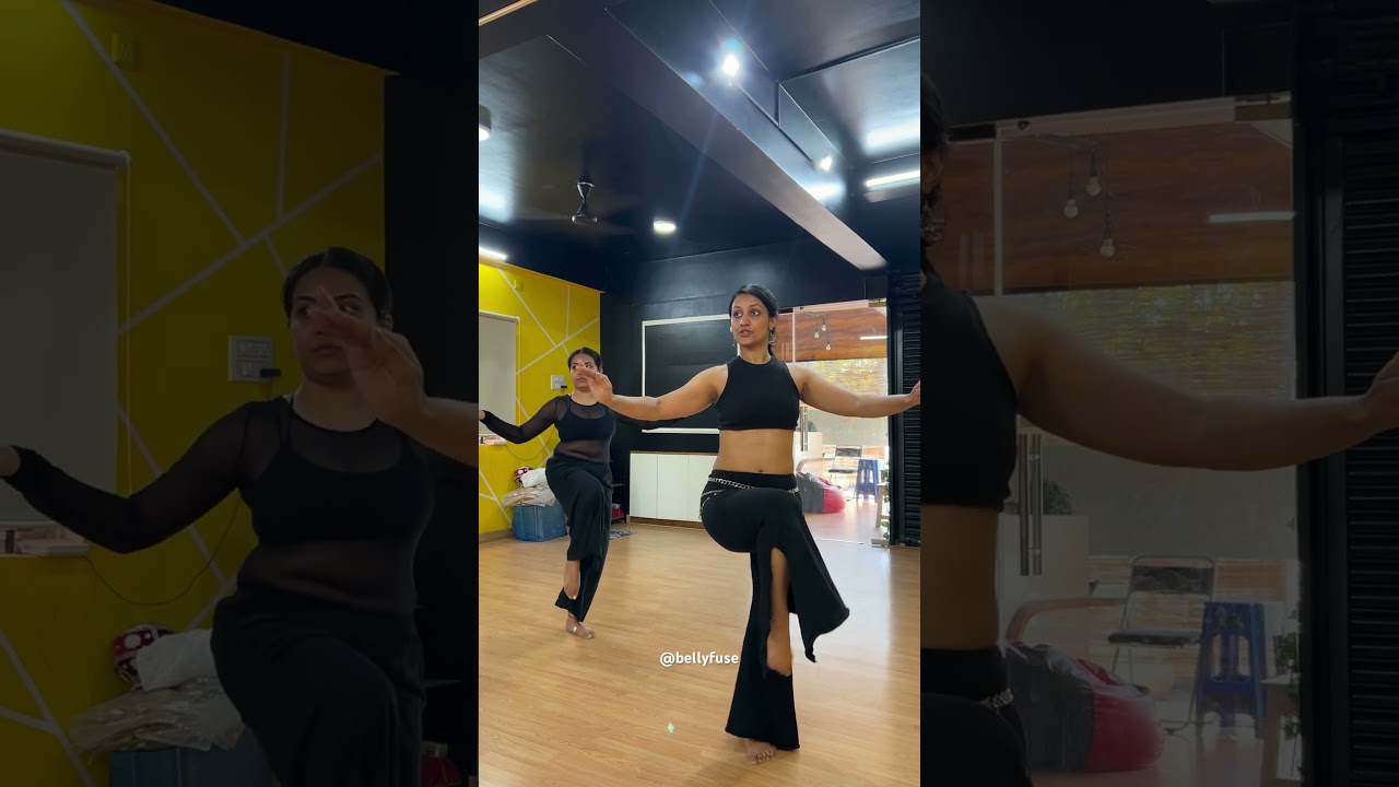 Belly Dance Tutorials 