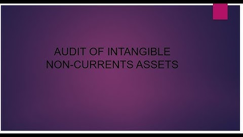 Audit of Intangible Non Current Assets