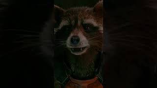 Um Bando De Zé Ruela.