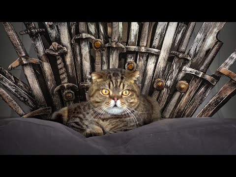 [키티빌런즈] 왕좌의 게임