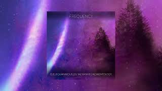 Video thumbnail of "Ele, Equanimous, DJ Taz Rashid, Momentology - Frequency"