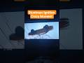 Stuntman Ignition Crazy Moment #gaming #Stuntman #ps3