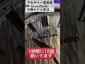 Tiktokでバズった白樺の衝撃の真実【GrandSeiko】