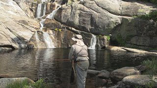 Fishing & Hiking Chilnualna Creek and Falls, Yosemite N.P., California