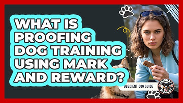 What Is Proofing Dog Training Using Mark And Reward? - Obedient Dog Guide