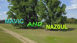 Mavic and Nazgul