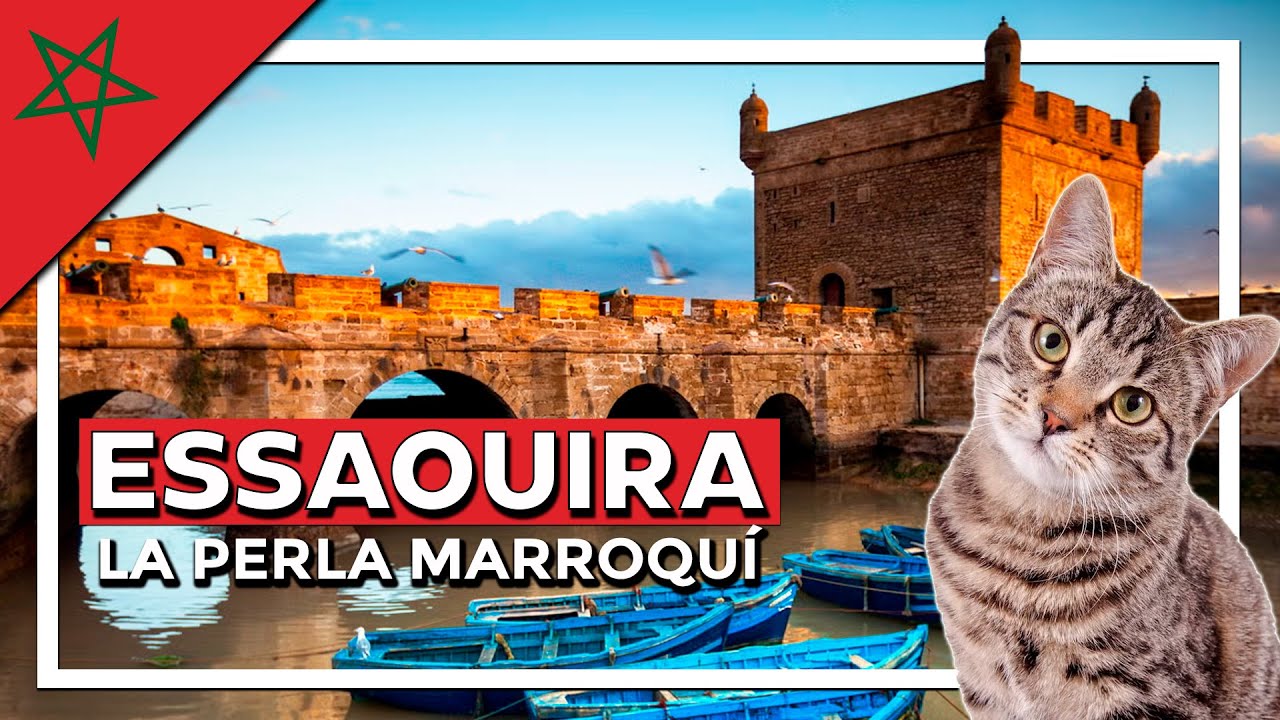 Qué ver en ESSAOUIRA en 1 día 🐈 la perla de Marruecos