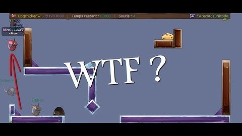 TRANSFORMICE WORLD RECORD #1