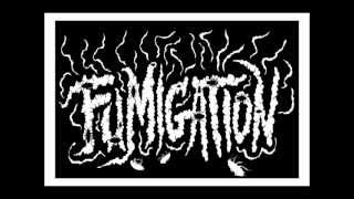 Fumigation - Entomophagy