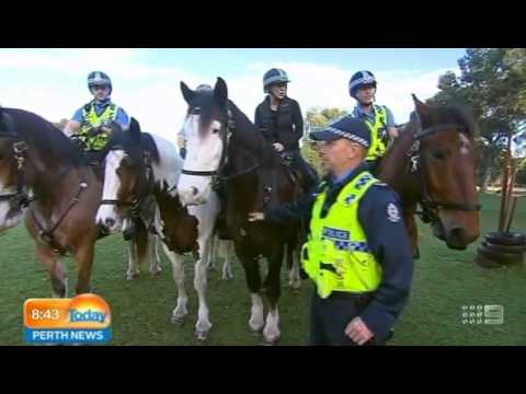 WA Police Mounted Section Part 2 | Today Perth News - YouTube