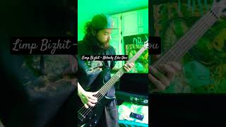 Limp Bizkit - Nobody Like You feat. Jonathan Davis (Bass Cover) Alexandre Desfilles