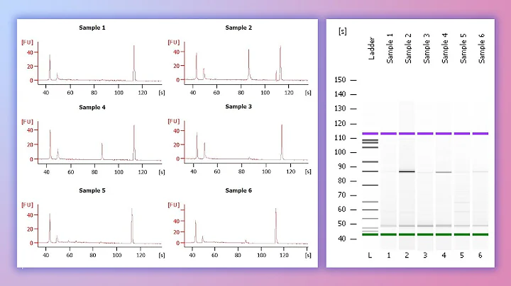 Forensic DNA Profiling, Part 2