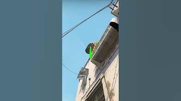 EASY WAY TO SMOKE CT SPAWN DUST 2