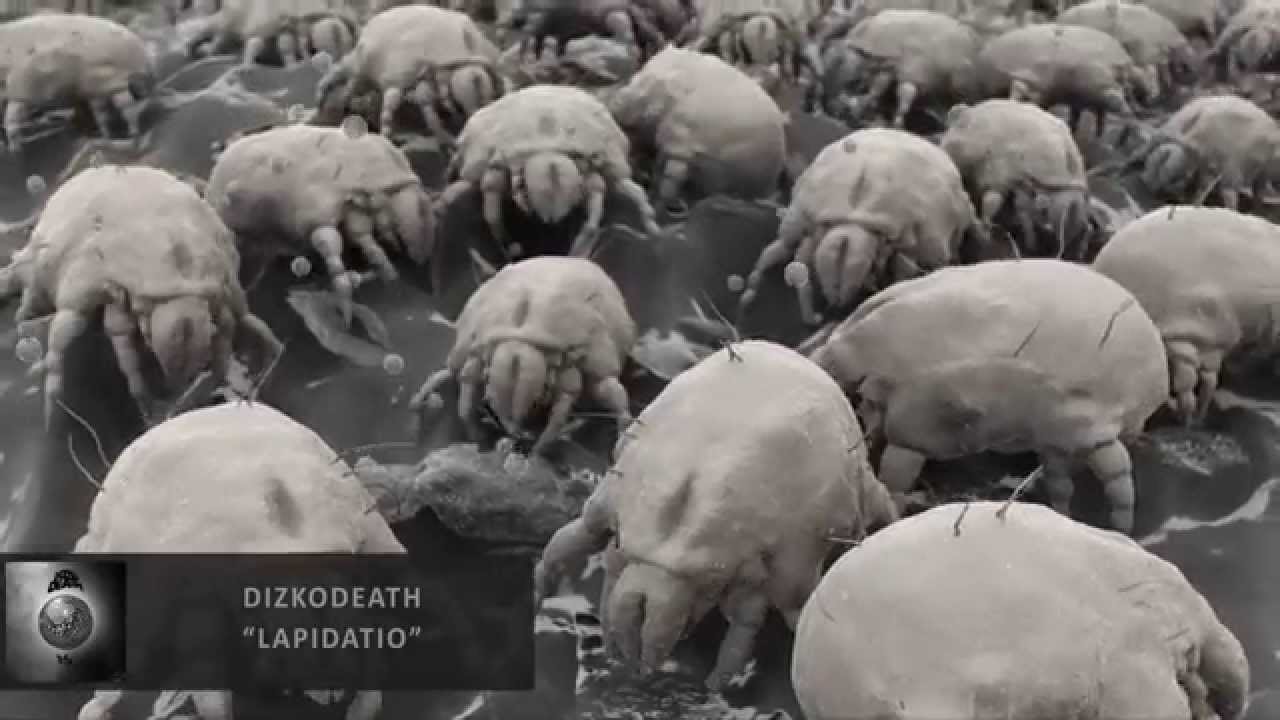 Guarda Dizkodeath - Lapidatio su YouTube Guarda Dizkodeath - Lapidatio su YouTube
