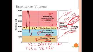 13c external and internal respiration