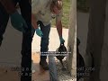 Klingstone Path: The Ultimate Permanent Gravel Solution | ADA Compliant DIY