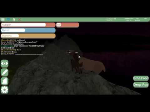 Roblox Yellowstone Gameplay - fnaf quiz roblox answers in jurrasic world
