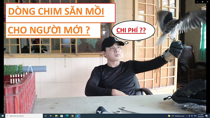 So sánh diều hâu mắt đỏ và ưng shika