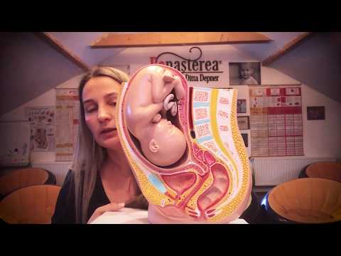 Video: În ce săptămână de sarcină preia placenta?