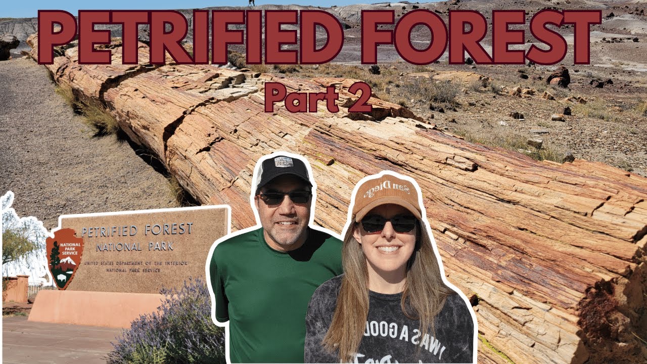 Exploring the Petrified Forest | Arizona’s Ancient Trees & Badlands (Vlog)
