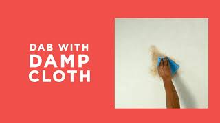 Cleanipedia Remove Coffee Stains.