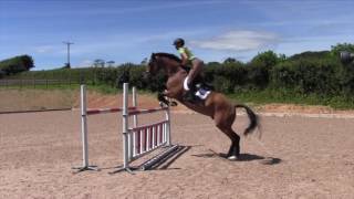 How to solve common jumping problems at home with Mary & Emily King | Horse&Rider