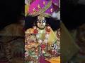 Mera jal vrat ekadashi Jay Shri Radhe 🙏🤗🤗❤️❤️🫶🫶🫶