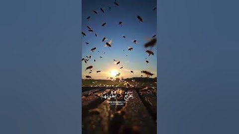 استمع وأنصت الي القرآن الكريم كلام الله تعالى منه بدأ واليه يعود لعلك ترحم#
