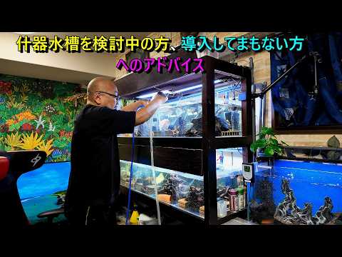 Aqua大ちゃん - YouTube