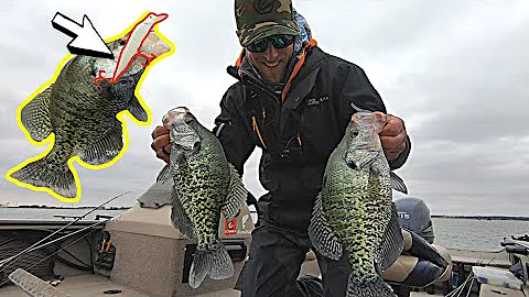 Catching GIANT Pre-Spawn Crappies on THIS Bait!!