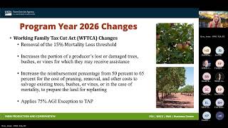 Tree Assistance Program Updates Guide
