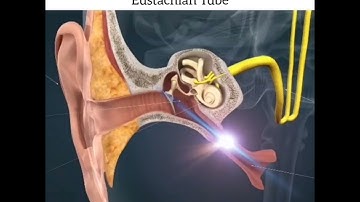 Light Language for Eustachian Tubes - Garz Chan