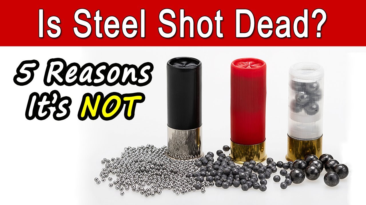 5 Reasons Why Steel Shot Is NOT Obsolete 